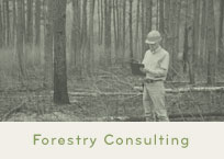 Wisconsin Forestry Consulting