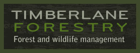 Central MN Forestry Management