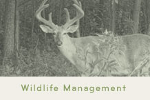 Ontario Wildlife Management